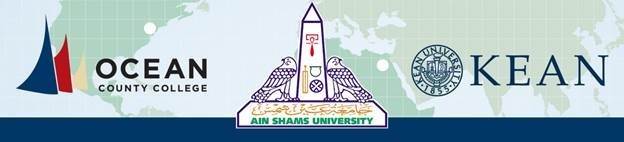 Ain Shams University