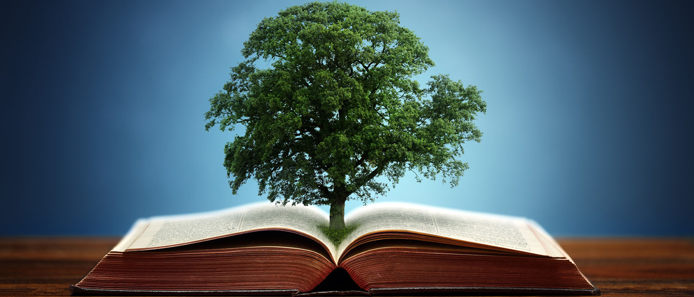 Book with a tree growing from the middle | Donate | OCC Foundation 
