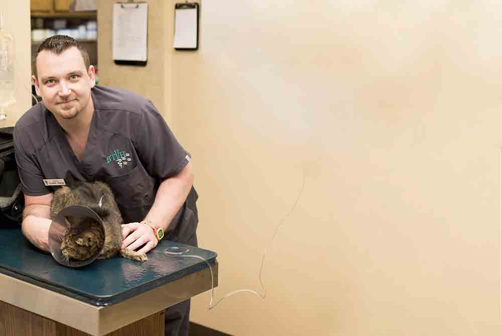 Veterinary Assistant holding cat