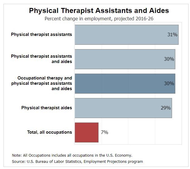 Physical Therapist