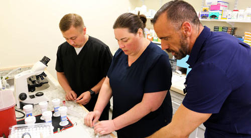 students learning about pharmaceutical