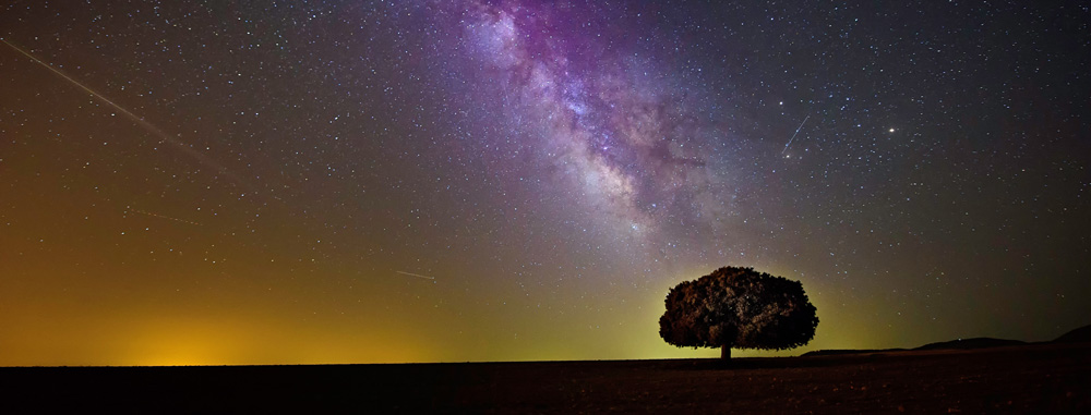 Universe–(8) a tree with shooting stars in the night sky