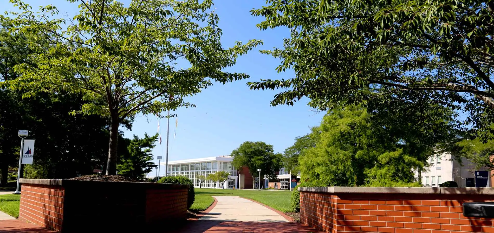 pathway on ocean county college campus with trees