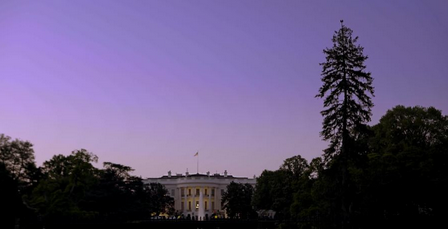 a picture of the white house at dusk