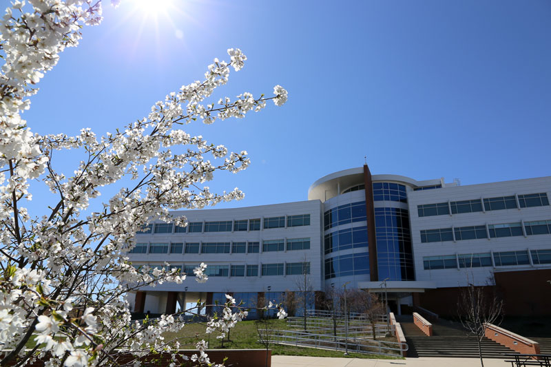 Gateway building on a spring day with a white flower tree