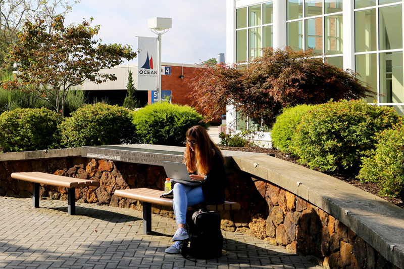 student sitting on a bench using a laptop
