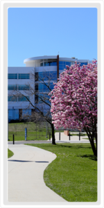 Kean Ocean Gateway Building on the Ocean County College campus