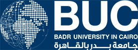 Badr University in Cairo Logo