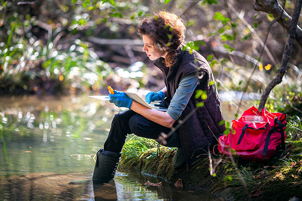 Scientist testing water from a stream