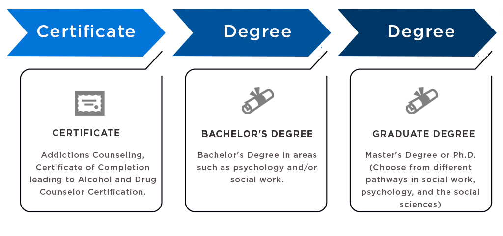 Certified Alcohol and Drug Counselor (CADC) Bachelor's Degree in areas such as psychology and/or social work. Graduate degree - Masters or PHD (students can choose between different pathways in social work, psychology, and the social sciences)