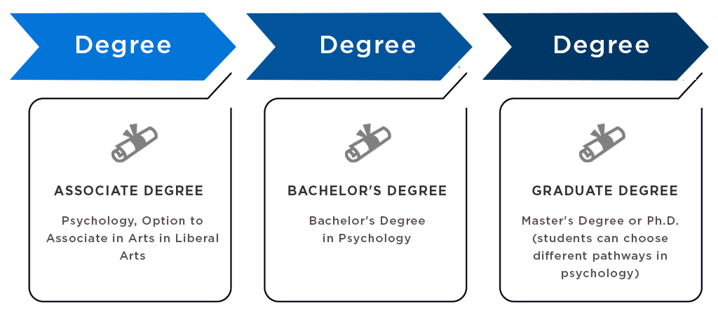 Associate Degree, Bachelor's Degree, Graduate degree - Masters or PHD (students can choose between different pathways in psychology)