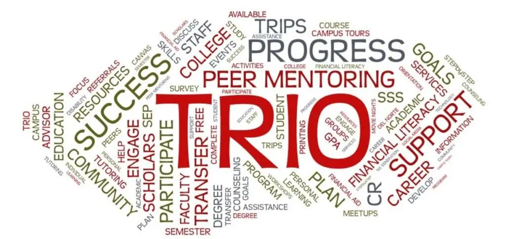sss word cloud