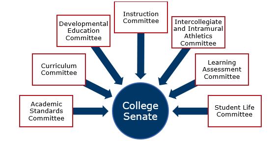 College Senate Standing Committees include Academic Standards Committee, Curriculum Committee, Developmental Education Committee, Instruction Committee, Intercollegiate and Intramural Athletics Committee, Learning Assessment Committee and Student Life Committee.