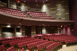 Auditorium in the grunin center