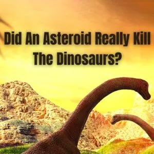 "Dinosaurs with long necks in a prehistoric landscape under text asking about an asteroid's role in their extinction."