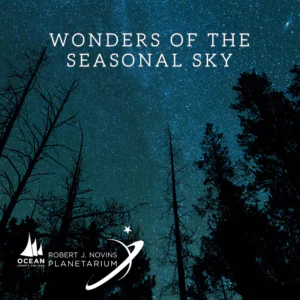 Wonders of the Seasonal Sky with a view of the starry night sky through trees