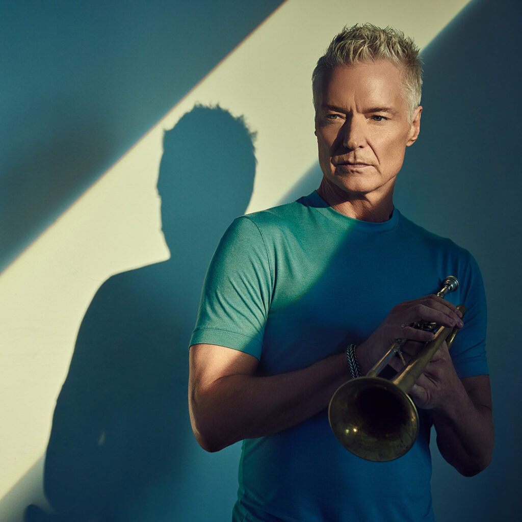 Person holding a trumpet with a shadow cast on the wall.