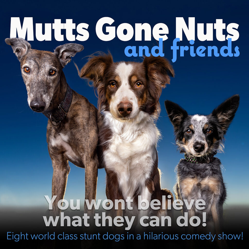 3 dogs with "Mutts Gone Nuts" and "You wont believe what they can do!"