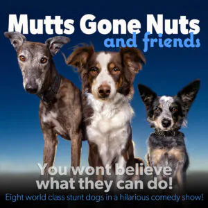3 dogs with "Mutts Gone Nuts" and "You wont believe what they can do!"