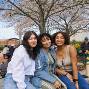 Three young women sit closely together outdoors under blooming cherry blossoms, smiling at the camera.