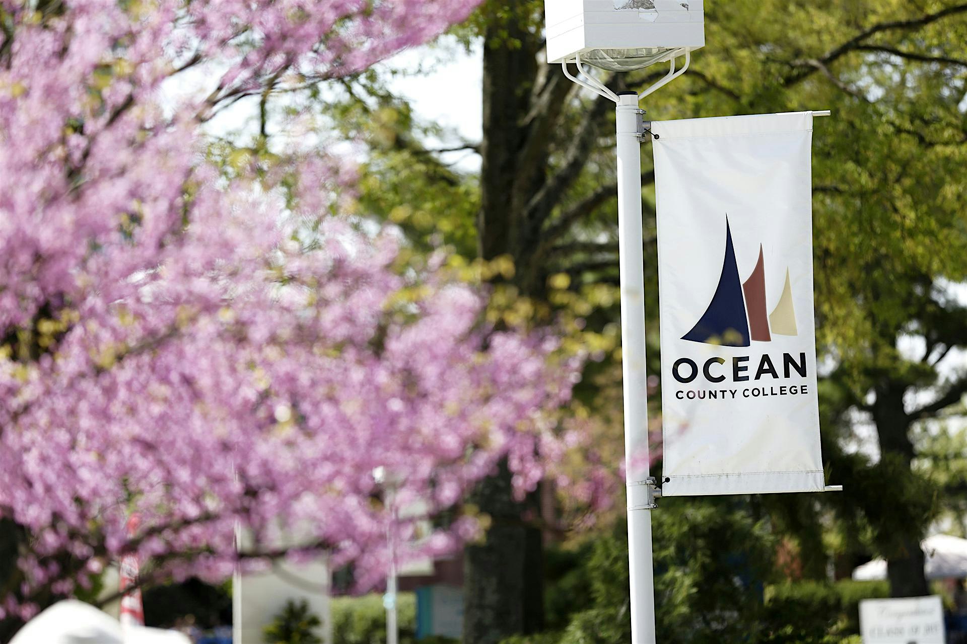 Outdoor campus banner for Ocean County College on a white pole, with pink blossoms in the background.