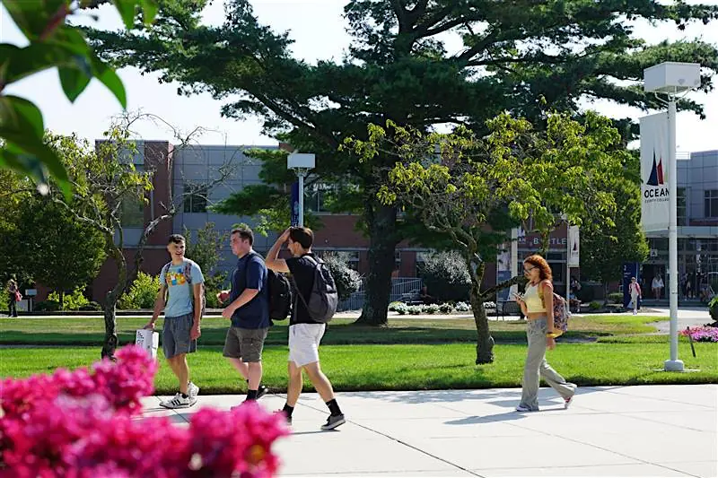 Group of students walking on a sunny campus quad with trees and a brick building in the background, flowers in the foreground